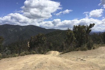 Down Wombat Range Track