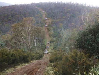 On the track to Mt Pinnibar