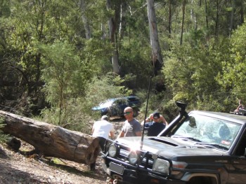 Log clearing