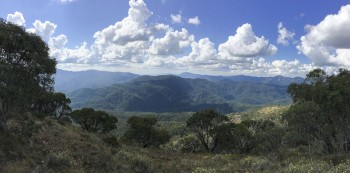 View from Bluff Track