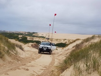 In the Dunes