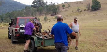 Camp Ground Tidy up