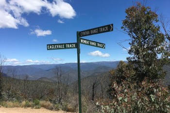 High Up on Cynthia Range Track