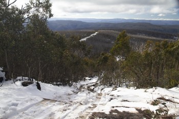 View from Mt. Selma summit