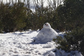 Mr. Snow Man says Hi