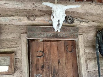 At Harry's Hut