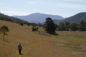 Walking to Cemetery