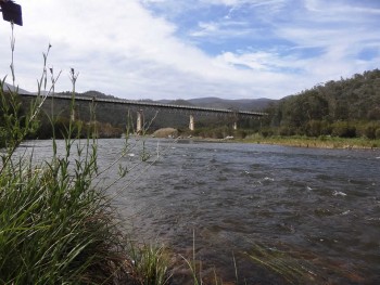 Snowy River @ McKillops Bridge